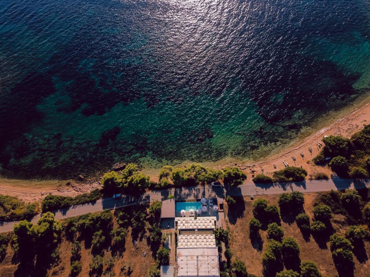 Casa Bloo Adults Only Gasthof Elia Nikitis