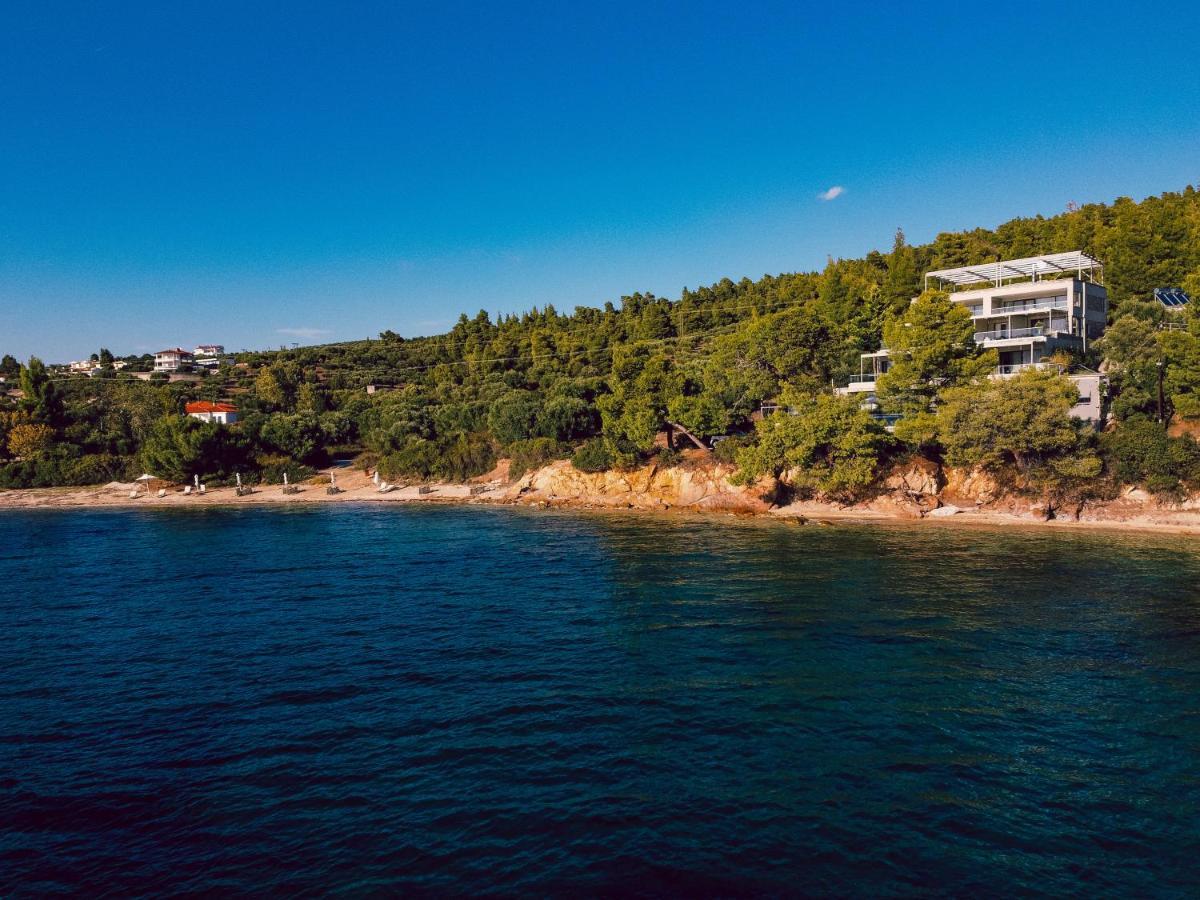 Πανδοχείο Casa Bloo Adults Only